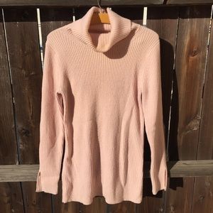 Banana Republic Turtle Neck Sweater